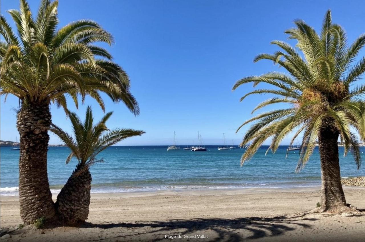 Bandol: Elegant Et Cosy 2 Pieces, Proche Ville Et Plage Exterior photo